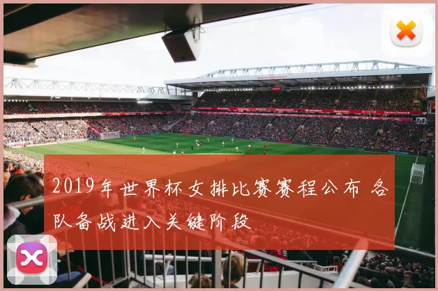 2019年世界杯女排比赛赛程公布 各队备战进入关键阶段