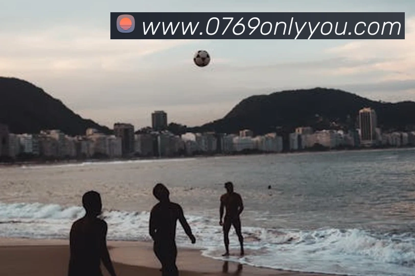 米乐网官网服务体系